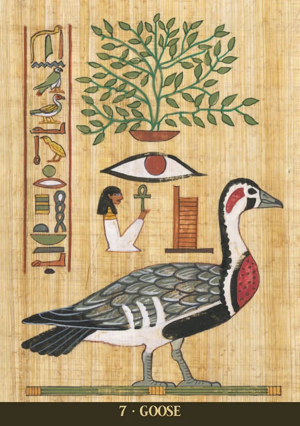 Egyptian Sacred Animals Oracle