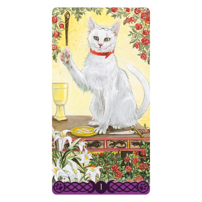 Pagan Cats Tarot - Mini versie