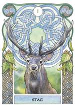 Celtic Astrology Oracle Cards