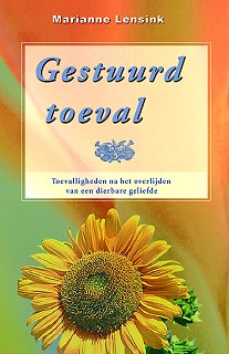Gestuurd Toeval