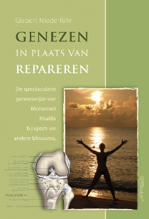 Genezen in plaats van repareren