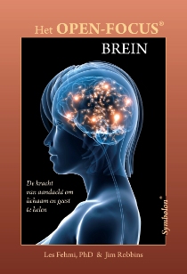 Het Open-Focus Brein